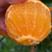 四川爱媛38果冻橙，新鲜采摘，基地直供，皮薄汁多，全国代发！