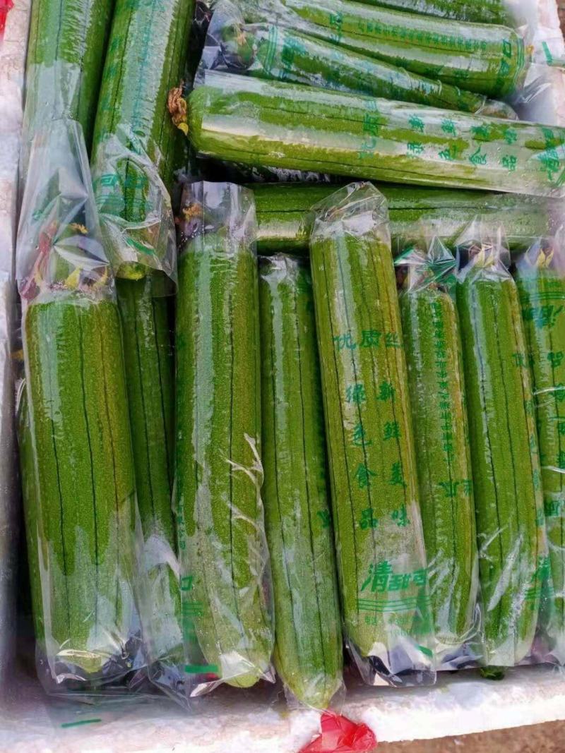 精品丝瓜，常年有货，代办代发，诚信代办，