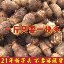 恩施小芋头新鲜蔬菜10斤毛芋头现挖农家当季整箱仔