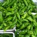 【牛角椒】河南鲜辣椒15-20cm一手货源全国代发