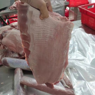 猪副产品冻品毛排