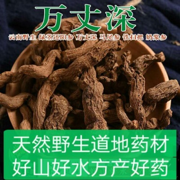 云南中药材万丈深奶浆参铁扫把根茎包邮