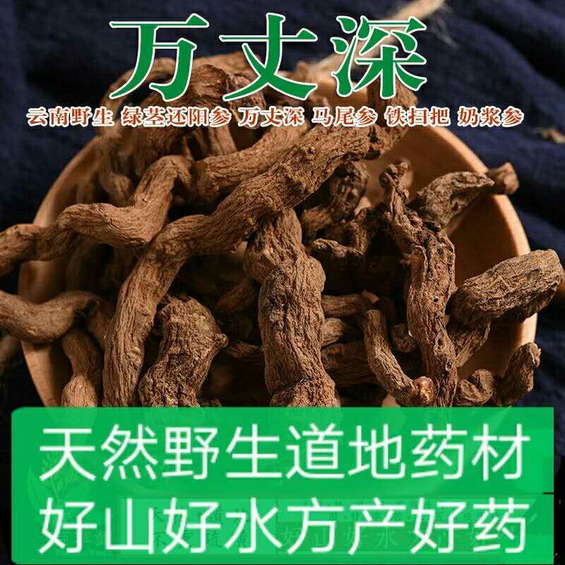 云南中药材万丈深奶浆参铁扫把根茎包邮
