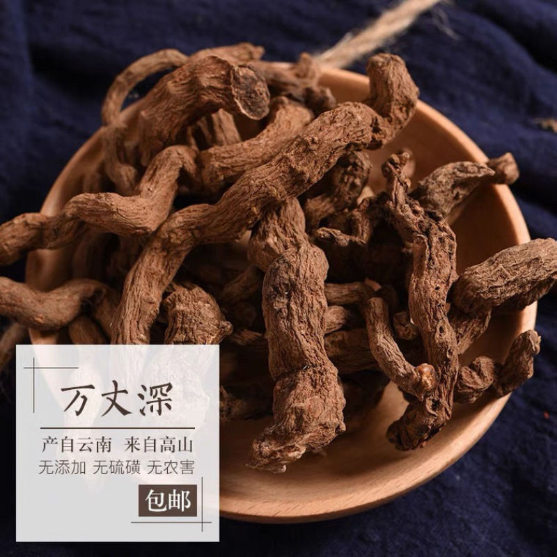 云南中药材万丈深奶浆参铁扫把根茎包邮