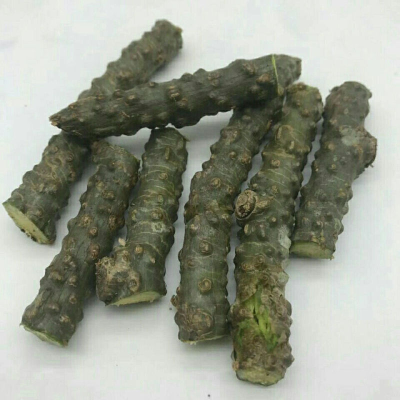 云南特有中药材黑苦藤山藤鲜品非干货野生枯藤藤茎