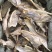 2024年新货美味松板柴鱼财鱼鳕鱼明太鱼松财鱼皮