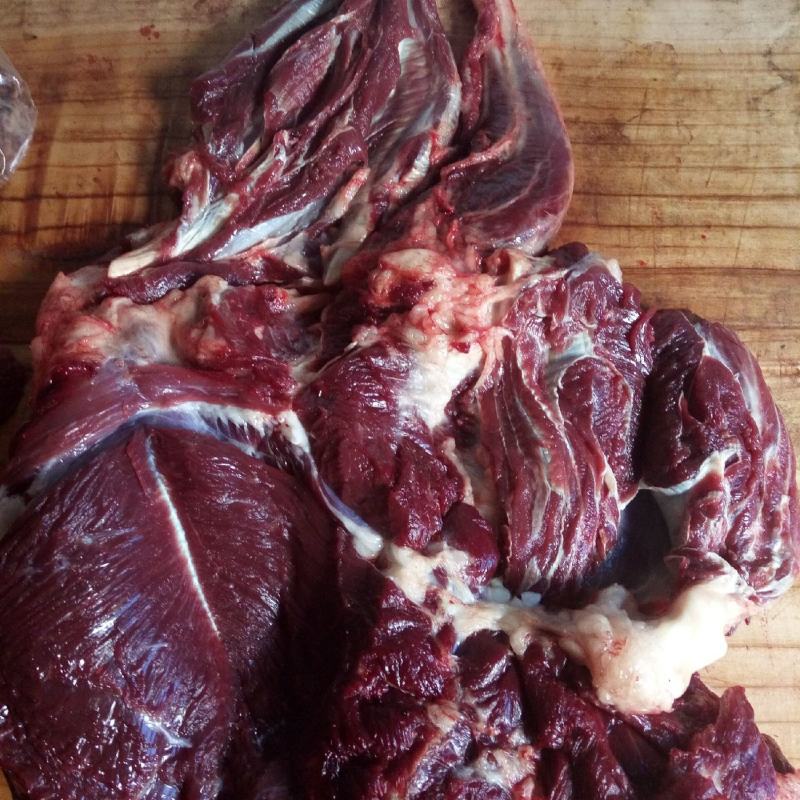 正宗现杀驴肉新鲜山毛驴肉生带皮驴肉厂家直销价格优惠