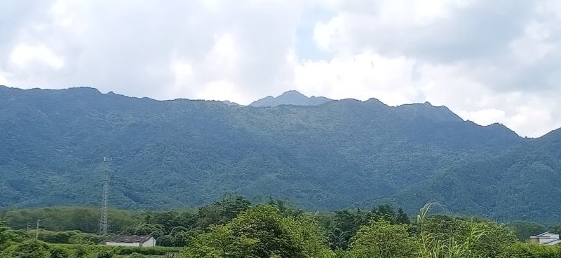 又一美地现世，廉貞起祖，剥换得土腹藏金之大地。立辛山乙向