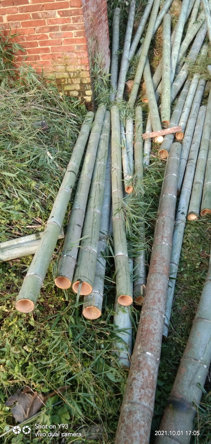 楠竹，班竹大量上新中...欢迎老板订购，各种规格尺寸
