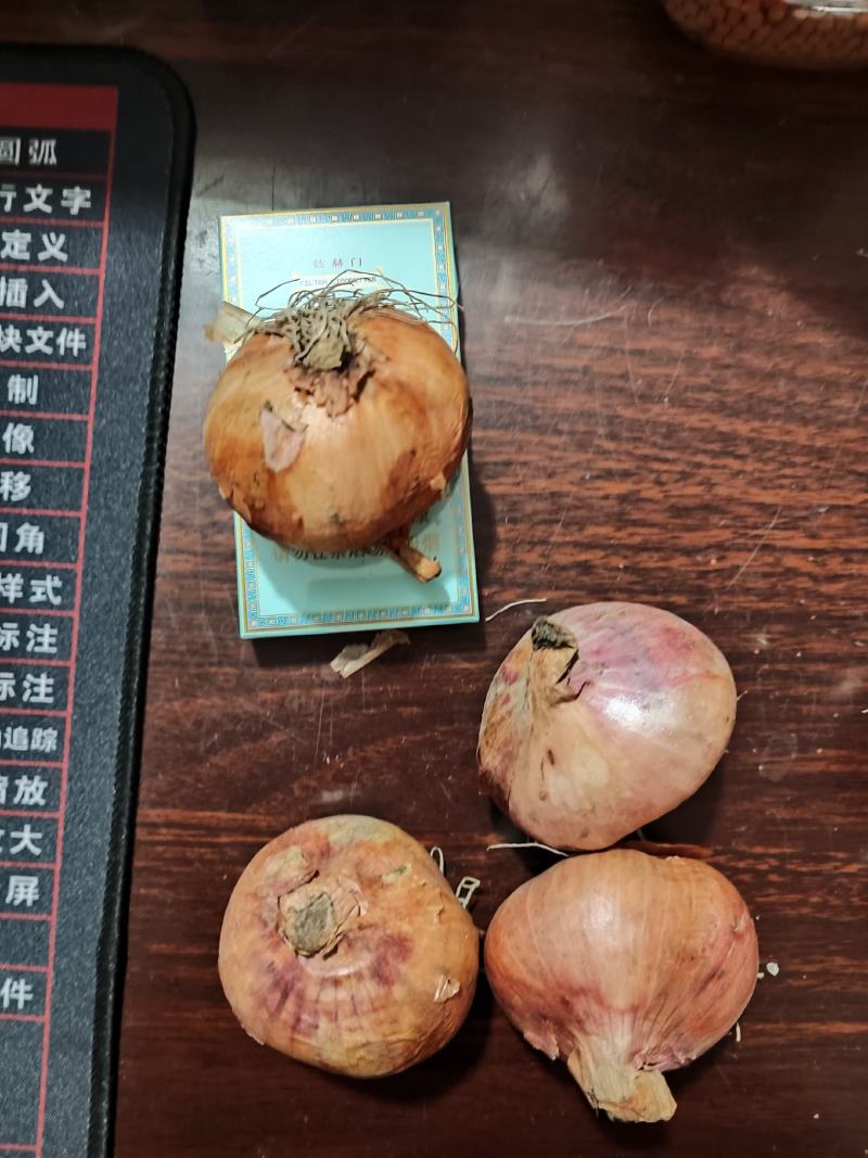 特大手选毛葱，价格美丽！
