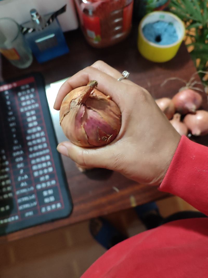 特大手选毛葱，价格美丽！