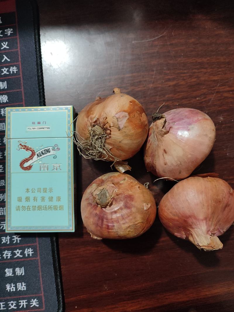 特大手选毛葱，价格美丽！
