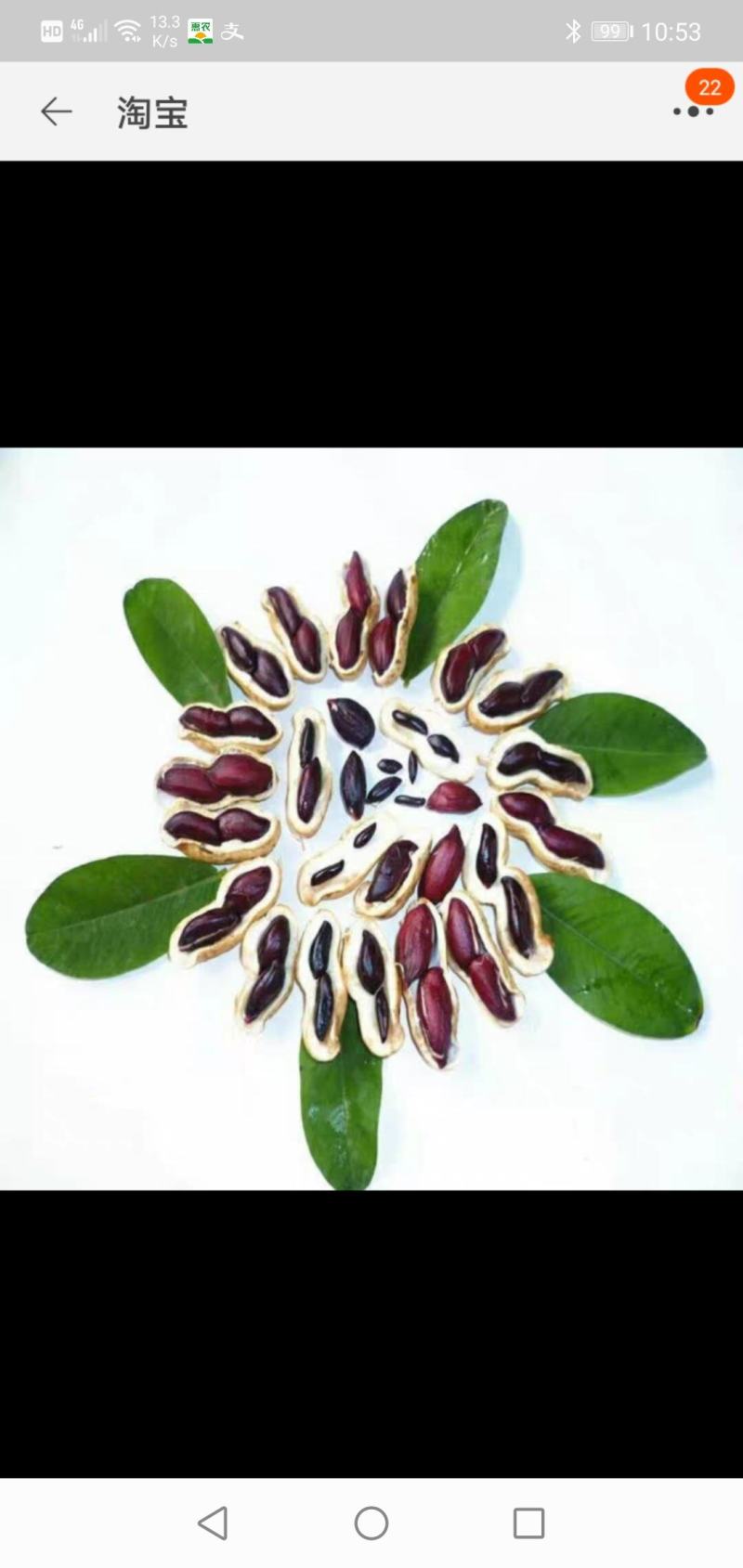 黑花生，粒大饱满，花青素含量高，