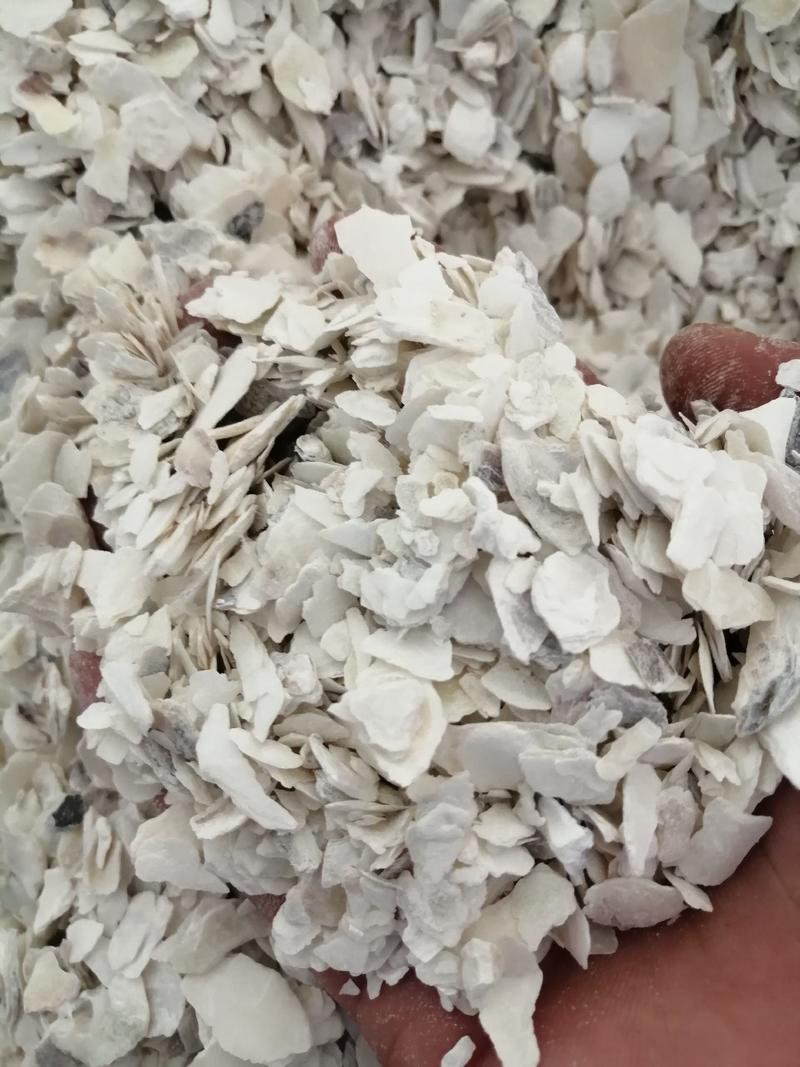 牡蛎中药材牡蛎无硫无添加经营各种规格中药材
