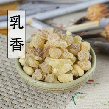 乳香干货中药材量大从优欢迎选购！