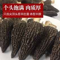 羊肚菌干货大个特价云南特产半羊肚菇新鲜煲汤煲汤食