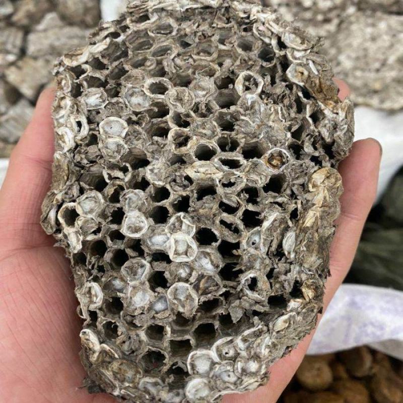 蜂房中药材干净无杂质量大从优！