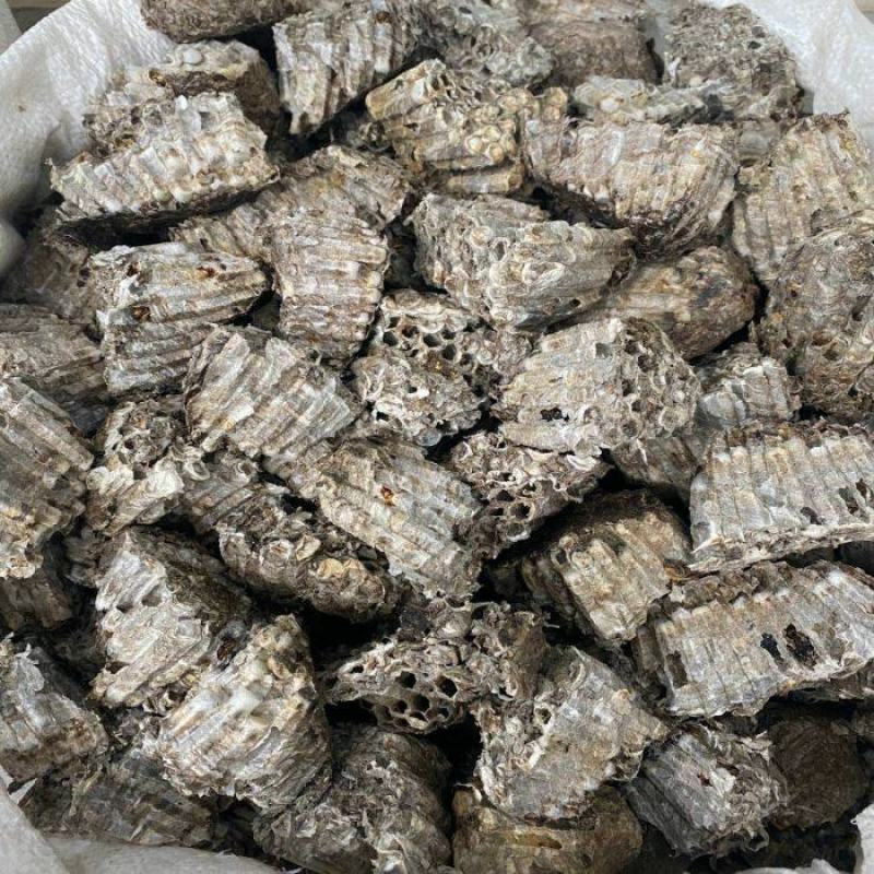 蜂房中药材干净无杂质量大从优！