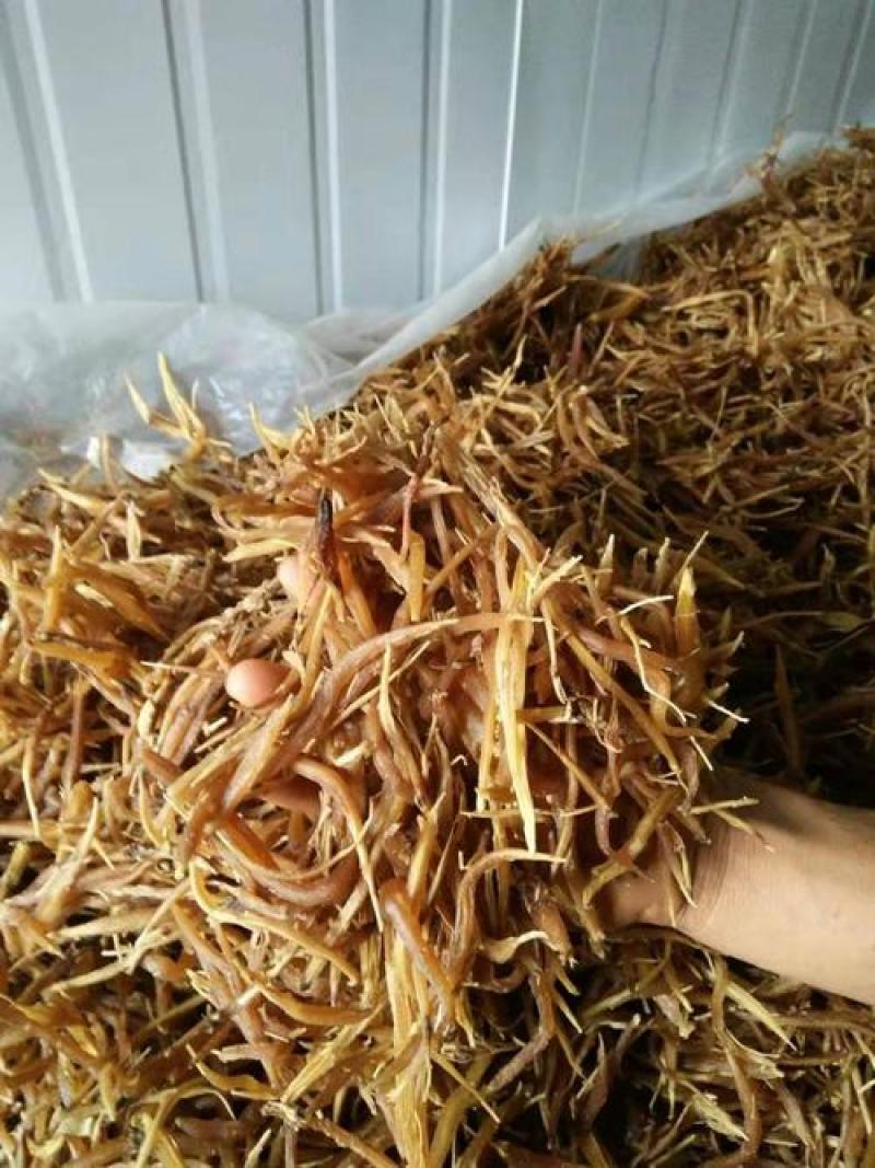 天冬，正品天门冬野生质量保证现在供应，欢迎咨询合作！