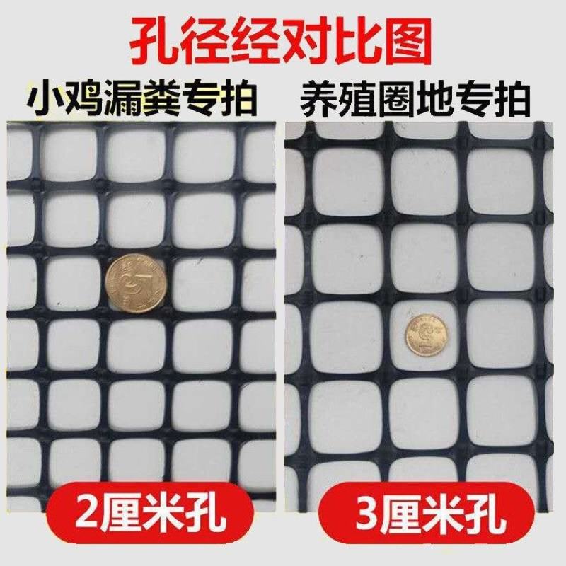 塑料网养殖网格土工格栅圈地网修路网围栏防护漏粪网安全