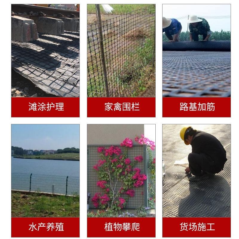 塑料网养殖网格土工格栅圈地网修路网围栏防护漏粪网安全