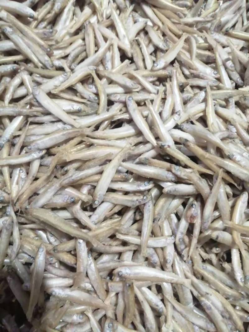 单冻麦穗鱼混有公鱼：质量保证欢迎你下单订购