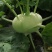 苤蓝四川德阳苤蓝疙瘩菜大头菜四川产地发货