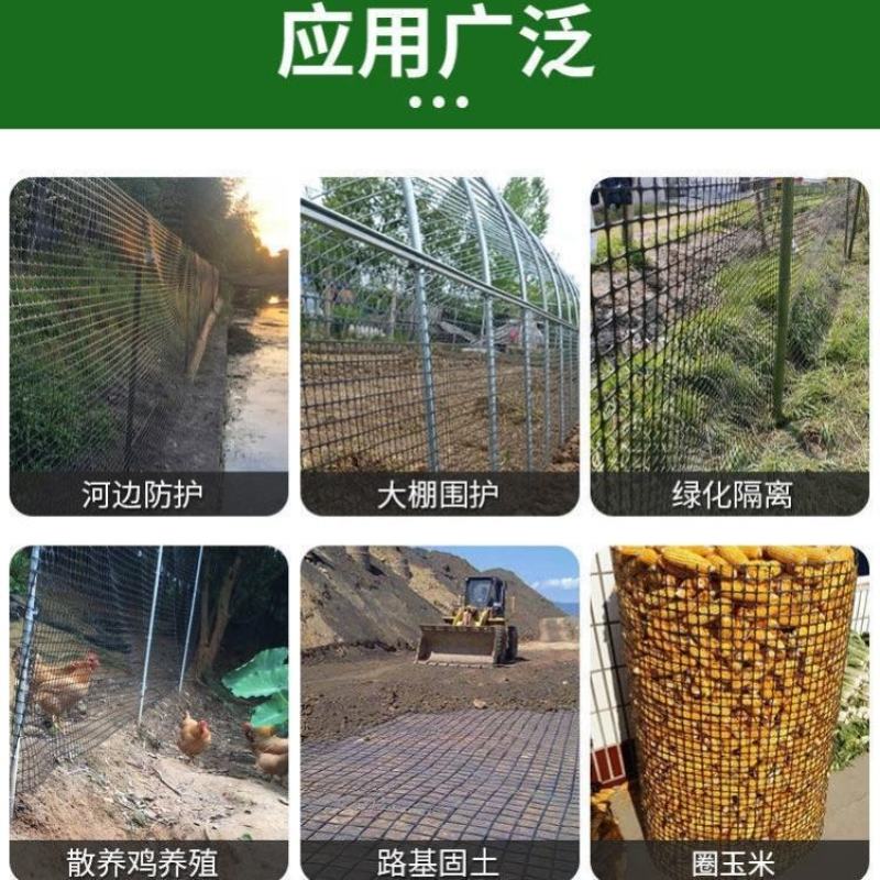 塑料养殖网鸡鸭鹅围栏网鱼塘菜地果园围栏网黑色胶网铺路土工