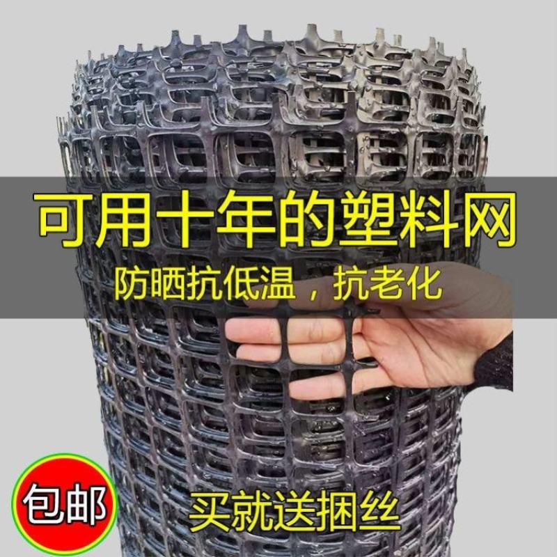 塑料养殖网鸡鸭鹅围栏网鱼塘菜地果园围栏网黑色胶网铺路土工