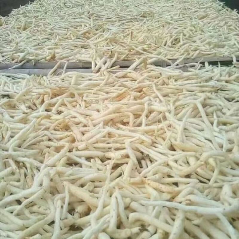 明党参，正品川明参质量保证，经营各种中药材，欢迎咨询合作