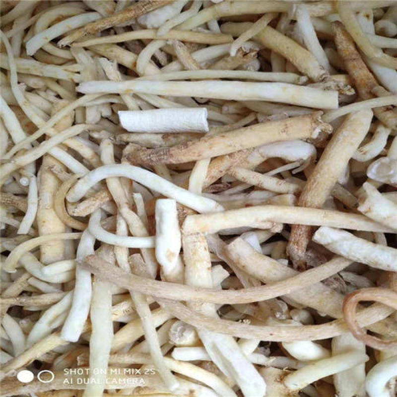 明党参，正品川明参质量保证，经营各种中药材，欢迎咨询合作