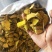 功劳木，十大功劳木质量保证，经营各种中药材欢迎咨询合作