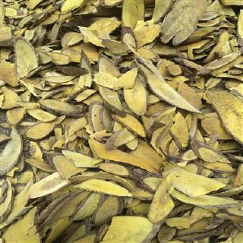 功劳木，十大功劳木质量保证，经营各种中药材欢迎咨询合作