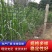 塑料土工格栅水产养殖网格养鸡养鸭围栏网防护网圈存阳台