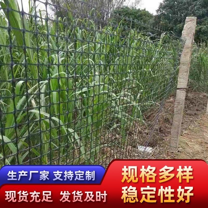 塑料土工格栅水产养殖网格养鸡养鸭围栏网防护网圈存阳台