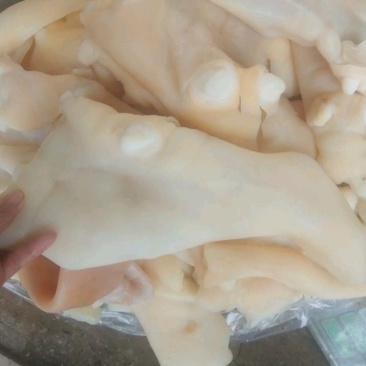 原味牛蹄皮大量有货酱香牛蹄皮需要的私信联系