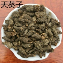 天葵子干货干净无杂质量大从优