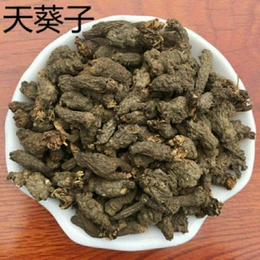 天葵子干货干净无杂质量大从优
