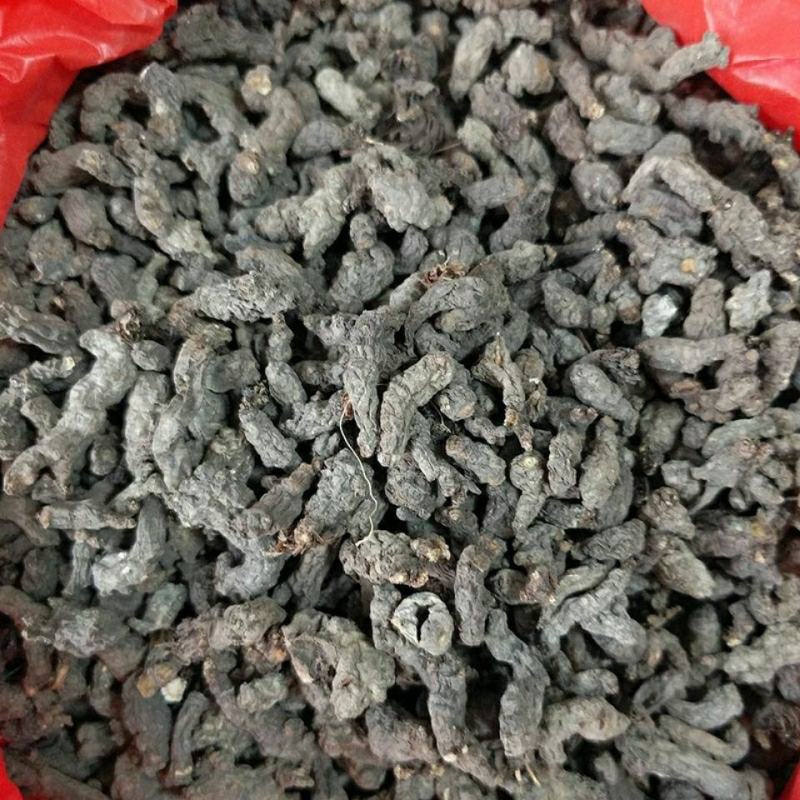 天葵子干货干净无杂质量大从优