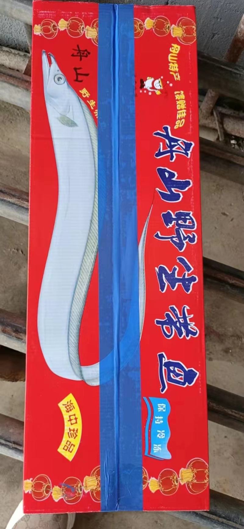 刀鱼，灯光船冻鲜度极好，厂家直销欢迎各位老板下单