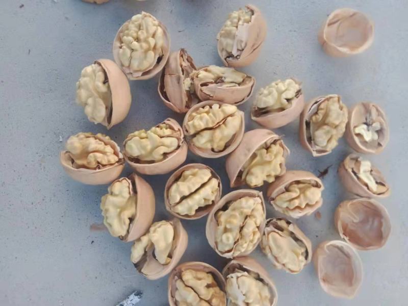 阿克苏温宿185纸皮核桃大量上市欢迎下单批发价
