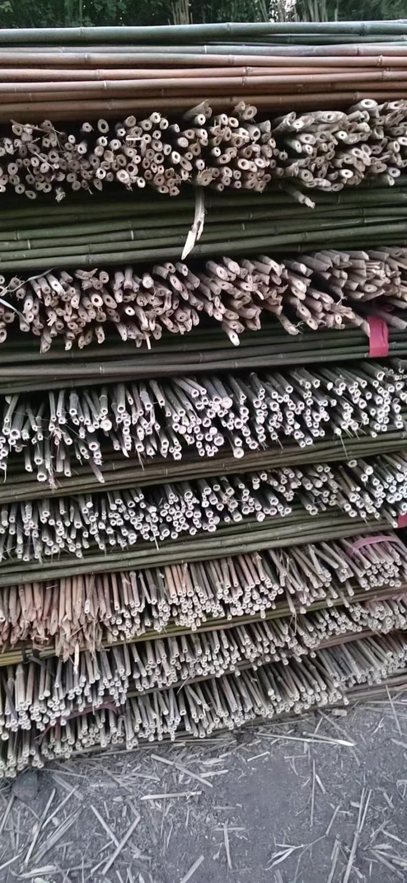 优质竹竿菜架竹.金竹.西红柿架杆.豆角架可架接瓜果蔬菜