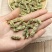 中药材新货晒干槐角愧角怀角500克槐豆子槐角茶