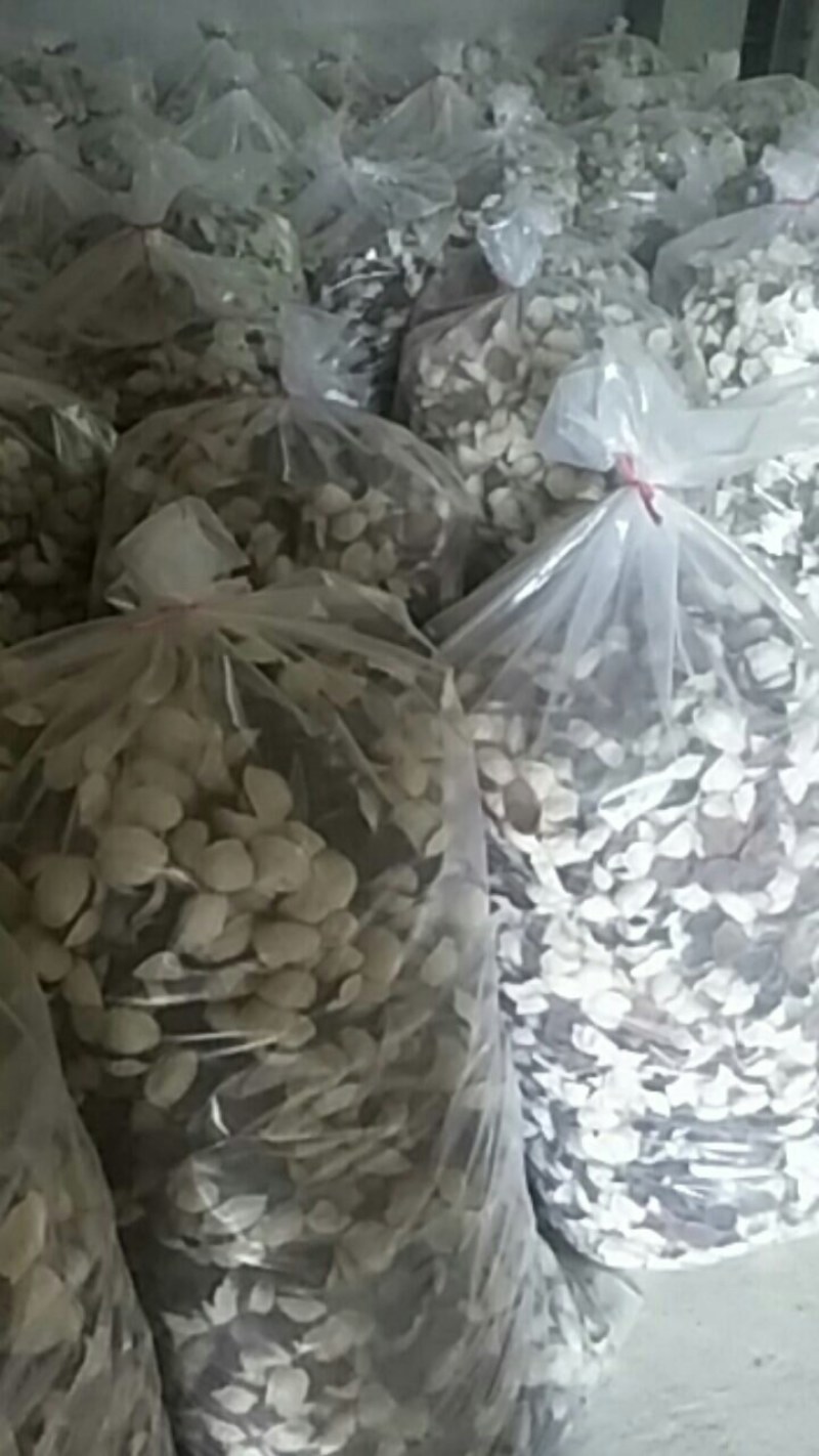 四会柑陈皮