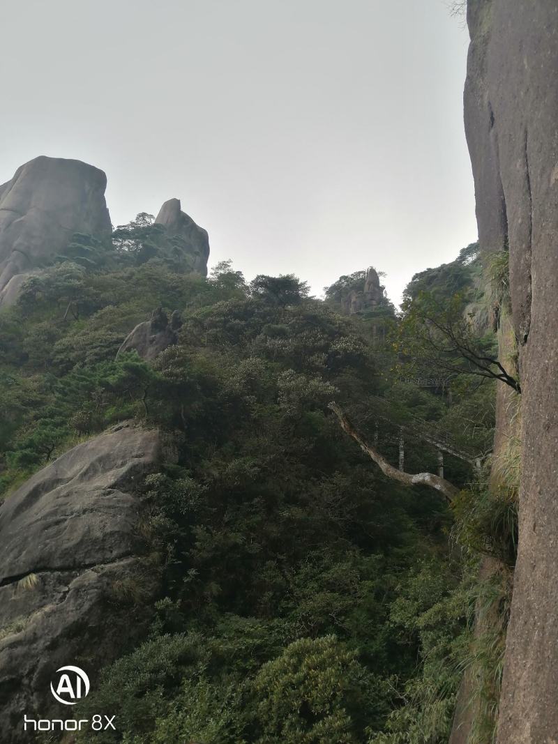 大米，蜂蜜