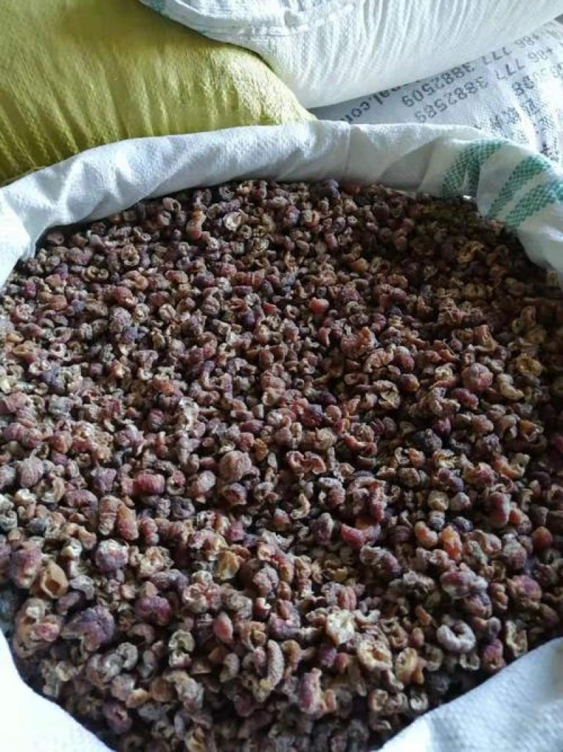 余甘子，余甘子肉质量保证，经营各种中药材欢迎咨询合作！