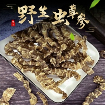虫草参地参泽兰根中药材土冬虫草地蚕云南特产