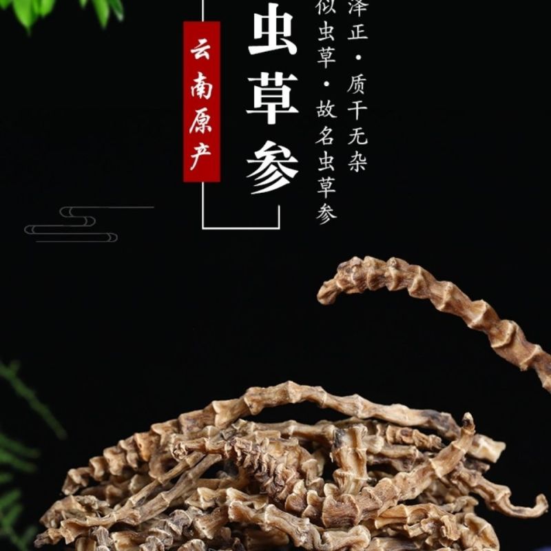 虫草参地参泽兰根中药材土冬虫草地蚕云南特产