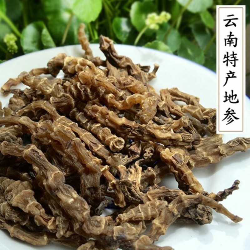 虫草参地参泽兰根中药材土冬虫草地蚕云南特产