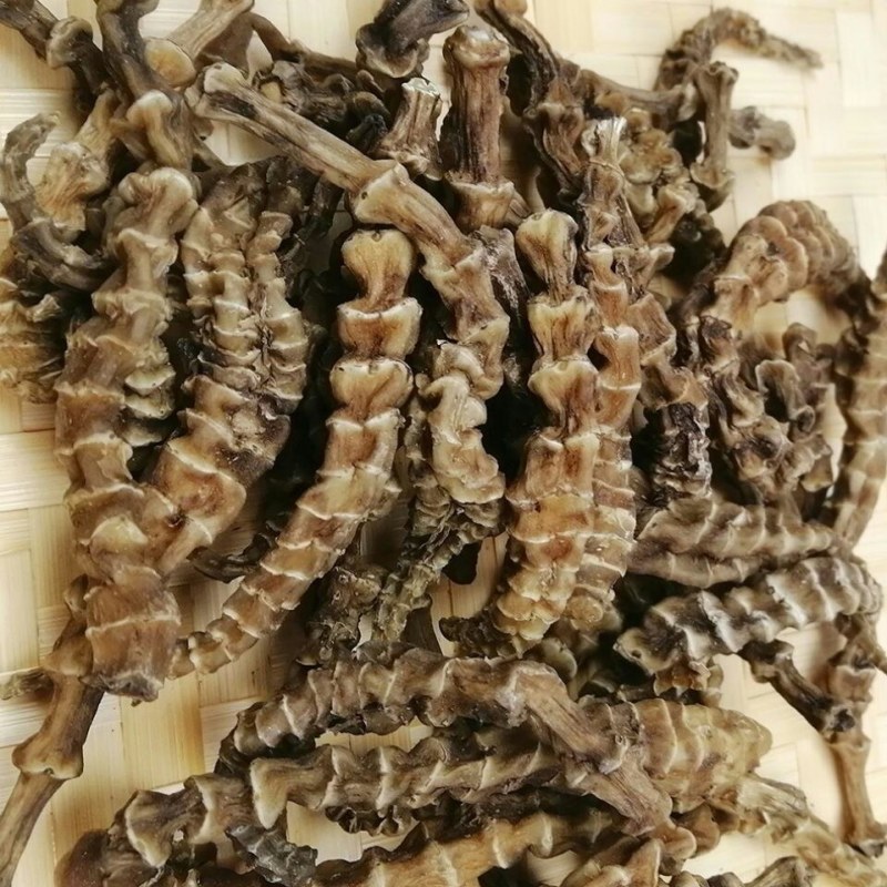 虫草参地参泽兰根中药材土冬虫草地蚕云南特产